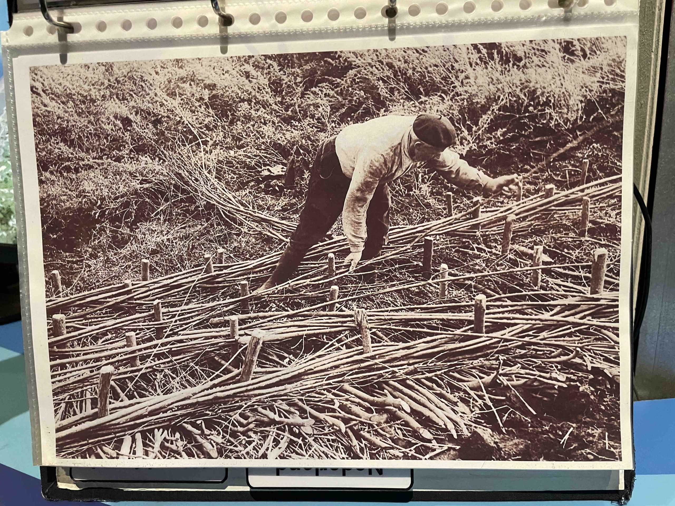 The weaving of willow fascine mattresses which is sunk to the river bottom to stabilize river beds and sediments. The export of willow fascine mattresses and the technique to produce them is an early example of how Dutch and Belgium dredge companies emerged and grew with customers across Europe's river and port cities, and via European colonization and trade in Latin America, Africa, and Asia. Photo by Henrik Ernstson of collections at Publikszentrum Water, Rotterdam, May 2022.